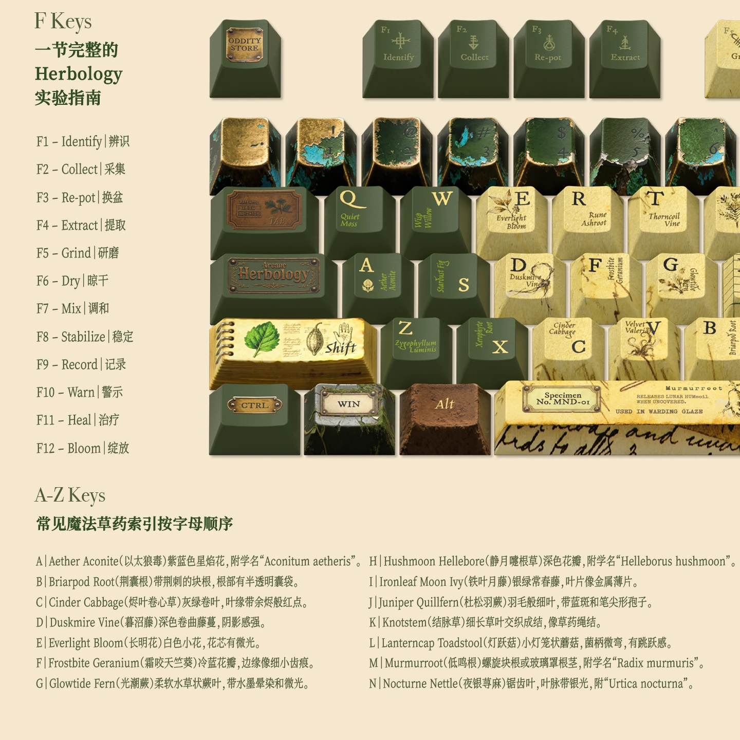 魔法温室与草药学 产品详情 2