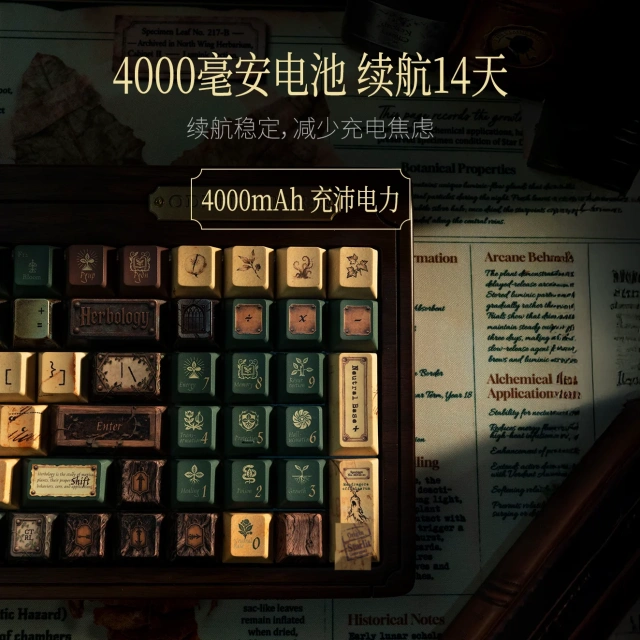 大文豪100键盘套件 10